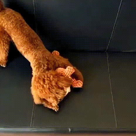 Dog Toys | Dinosaur Plush Chew Toy-Pet Toy-Pick NewYork