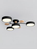 Ceiling Light Fixtures | Living Room Ceiling Lights-Ceiling Light-Pick NewYork