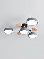 Ceiling Light Fixtures | Living Room Ceiling Lights-Ceiling Light-Pick NewYork