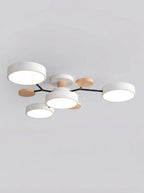 Ceiling Light Fixtures | Living Room Ceiling Lights-Ceiling Light-Pick NewYork
