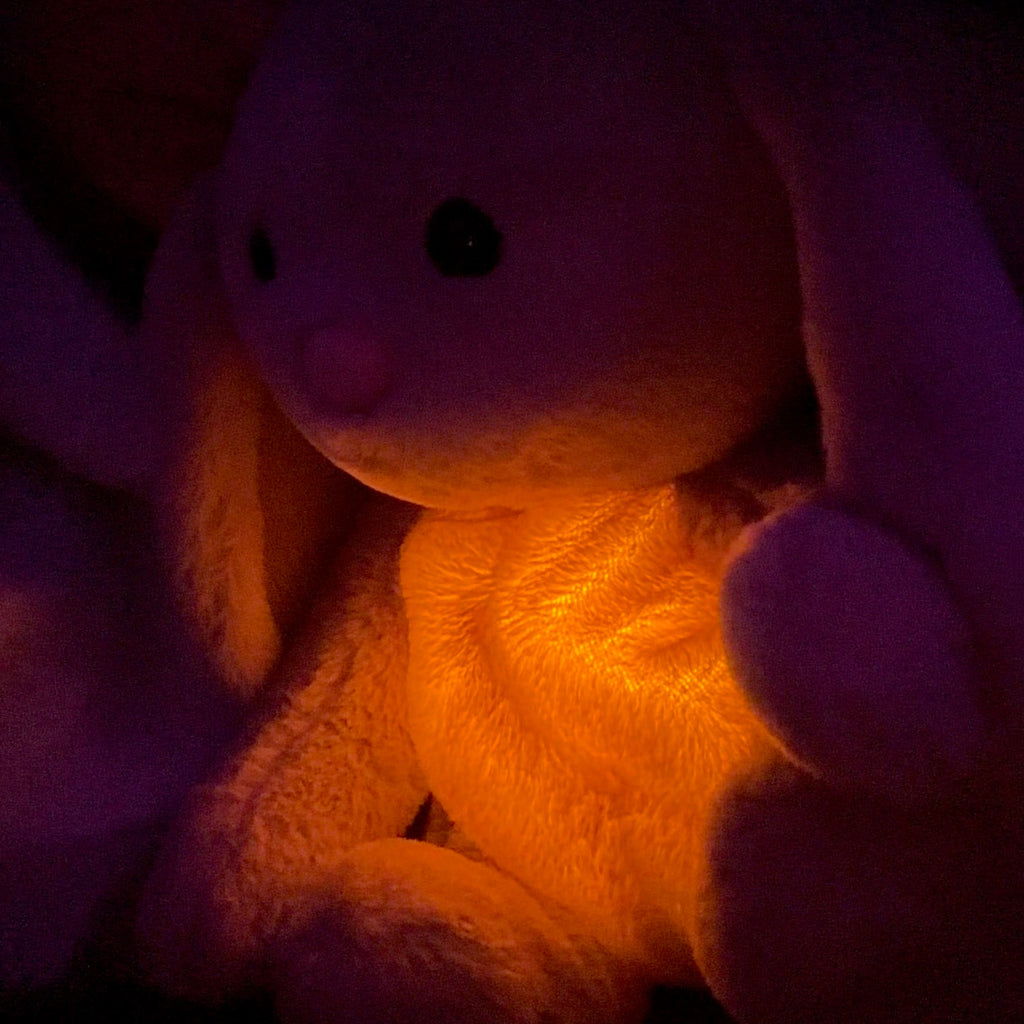 Calming Plush Toy | Soft Toy-Toy-Pick NewYork