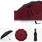 Travel Umbrella | Foldable Rain Protection Umbrella-Umbrella-Pick NewYork