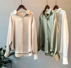 Women Blouse | Office Wear Long Sleeve Shirt-Women Blouse-Pick NewYork