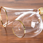 Champagne Glass | Elegant Champagne Flutes Set-Glass-Pick NewYork