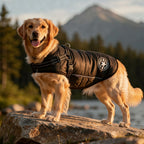 Dog Jacket | Outdoor Dog Vest Harness-Pet Coat-Pick NewYork