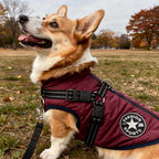 Dog Jacket | Outdoor Dog Vest Harness-Pet Coat-Pick NewYork