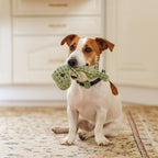 Dog Toys | Dinosaur Plush Chew Toy-Pet Toy-Pick NewYork